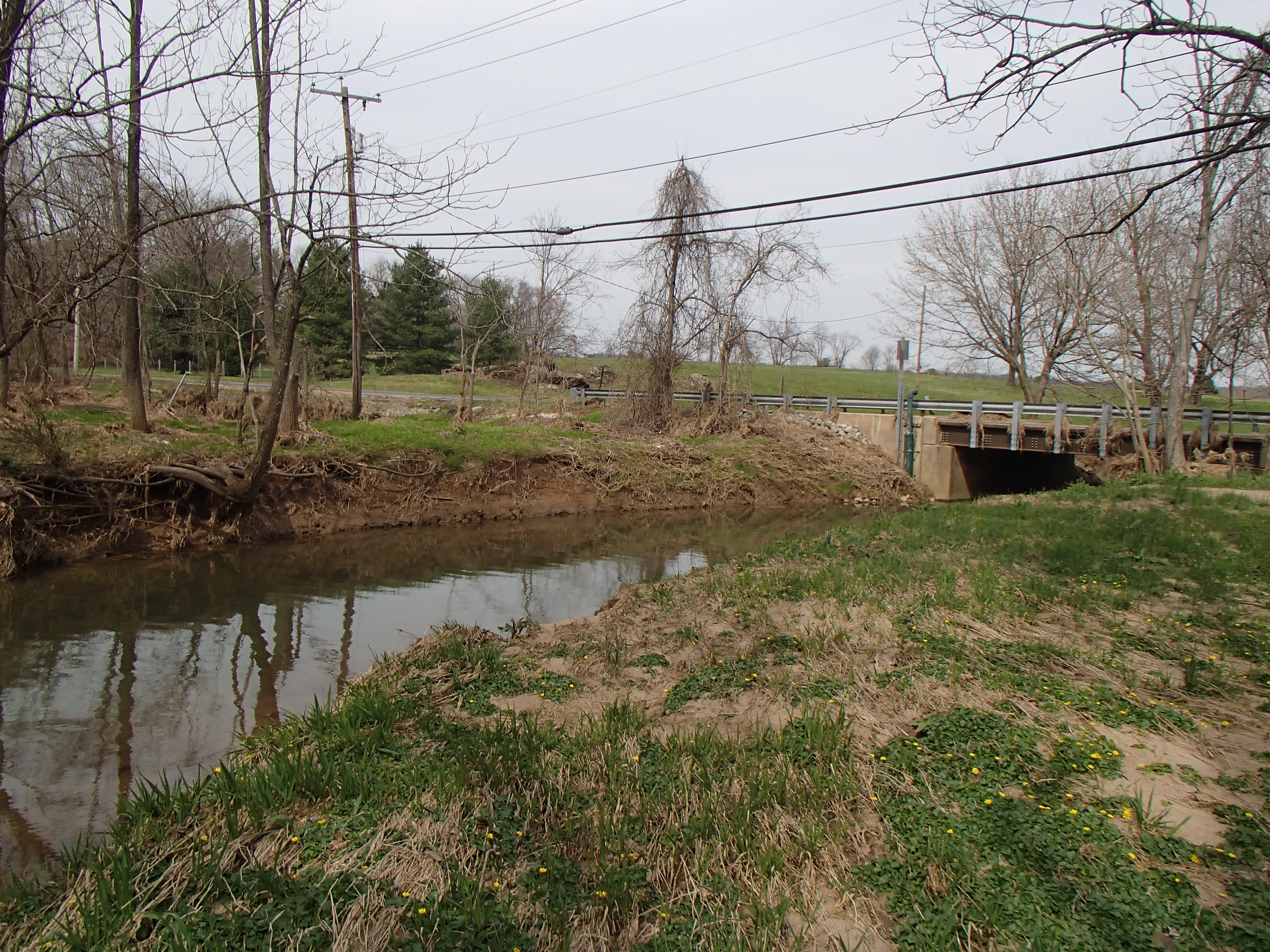 Field photo showing stream conditions at site LOGU-305-R-2016_Midpoint looking upstream